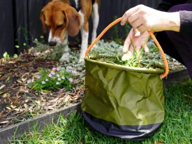 Folding Bucket