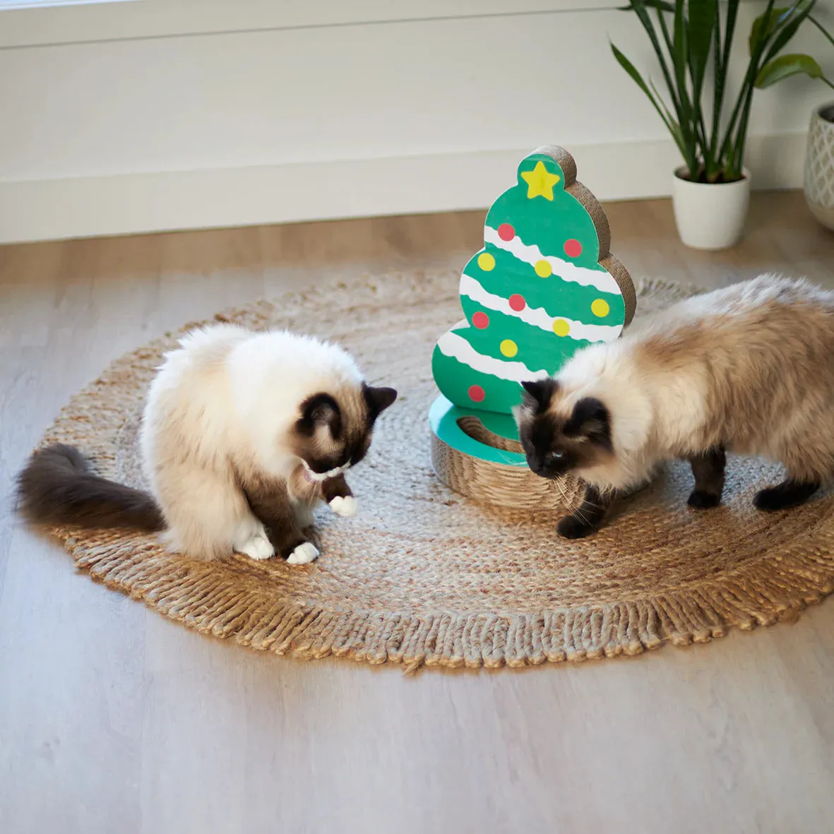 Kazoo Christmas Tree Cardboard Cat Scratcher